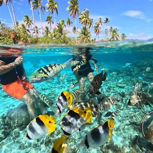  Hébergement de vacances Hutiarii House & Car & Excursions Raiatea Polynésie française
